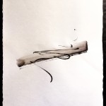 Quintessientially Zen